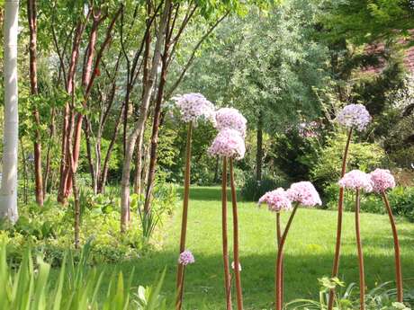 Reflets de Jardin