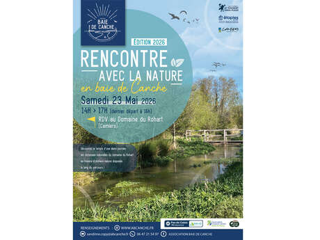 Rencontre avec la nature en baie de canche