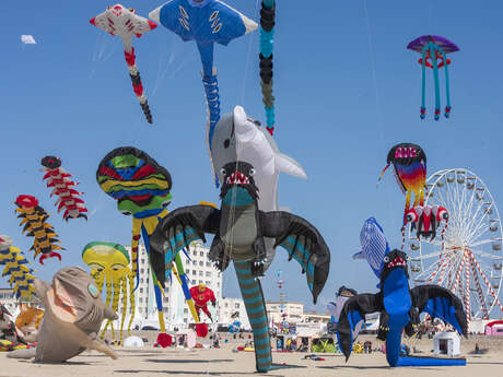 Rencontres internationales de cerfs-volants 2026