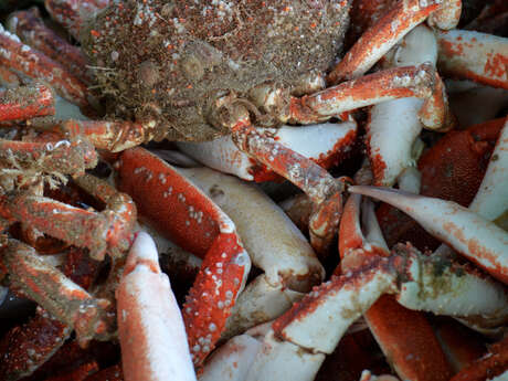 Marché aux poissons