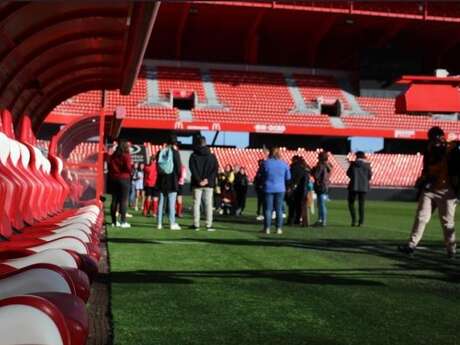 Visite Dans les coulisses du Stade du Hainaut