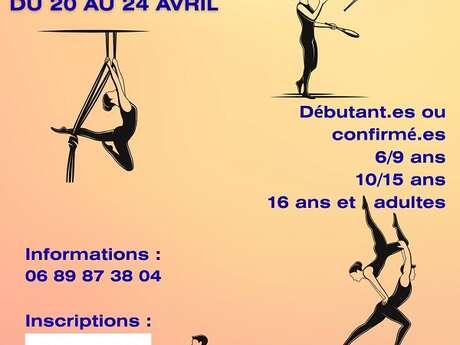 2e stage de cirque à la palette