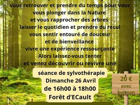 Séance de sylvothérapie