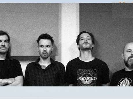 Concert 'sea horse shoes'