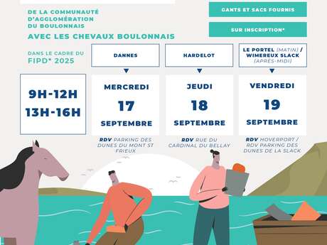 Nettoyage écologique des plages avec les chevaux boulonnais