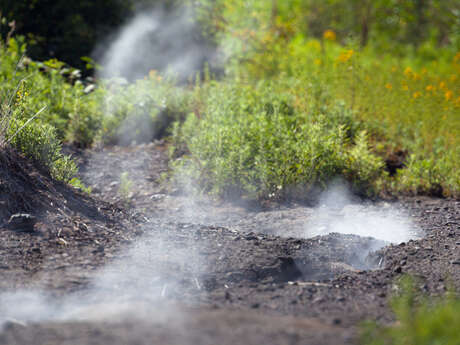 Terrils du marais de Fouquières
