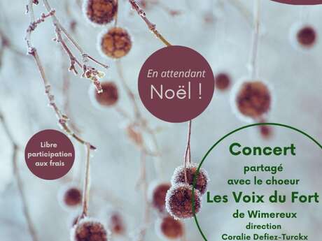 Chorale les voix du fort : concert