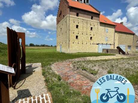Balade vélorestos - une douce odeur de chicorée