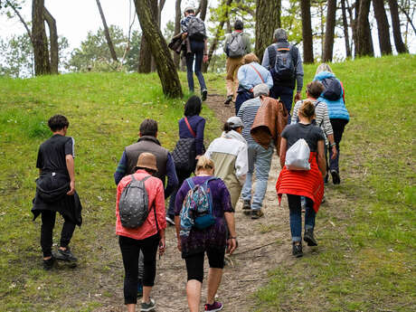 Visite guidée - grande balade "entre mer et forêt"
