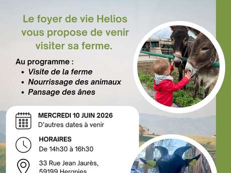 Visite de la ferme à Hergnies
