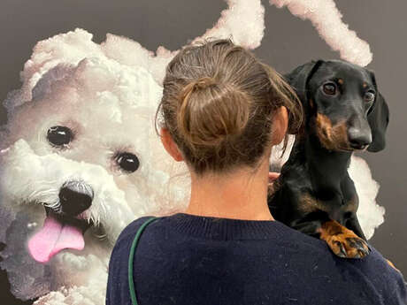 Visite canine de l'exposition "Mytho"