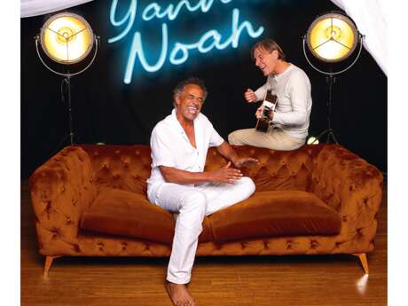 Concert de Yannick Noah