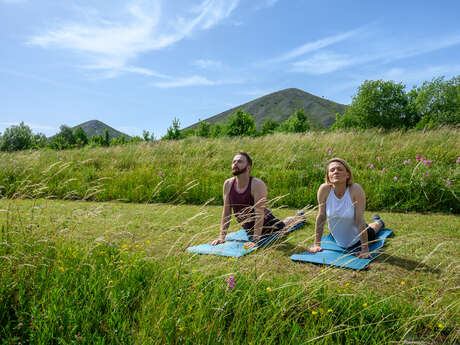 Yoga terrils sur le terril de pinchonvalles