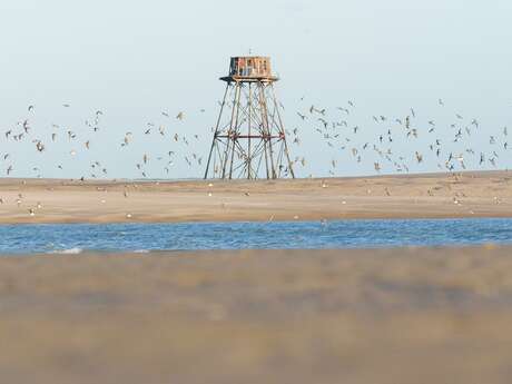 Le Phare de Walde