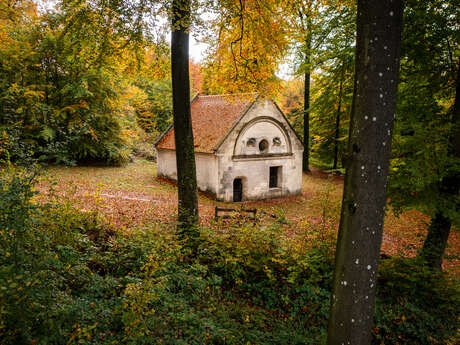 Les mystères de la Forêt de Retz