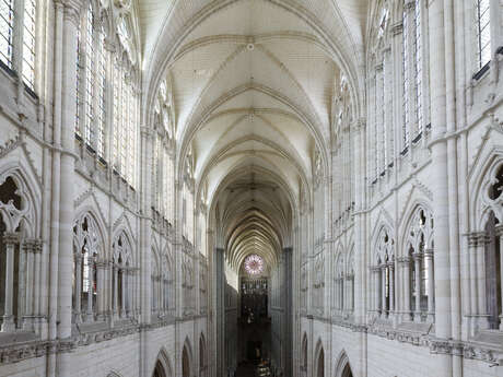 Visite guidée :Cathédrale : du CIAP à la nef