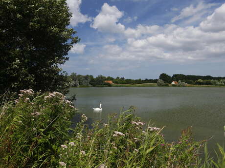 Le Lac des Moeres