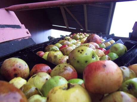 43ème grande fête de la Pomme et du Cidre