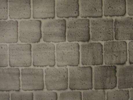 Dissimuler / révéler