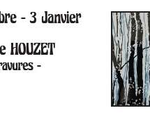 Exposition : Hélène HOUZET