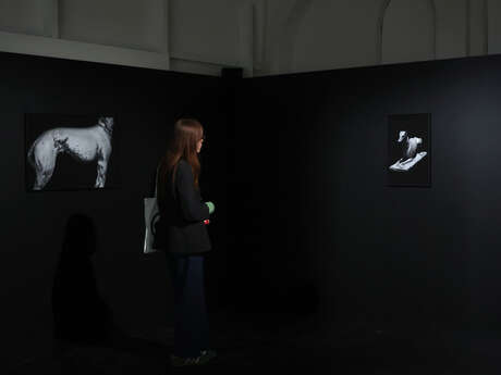 Exposition de la saison