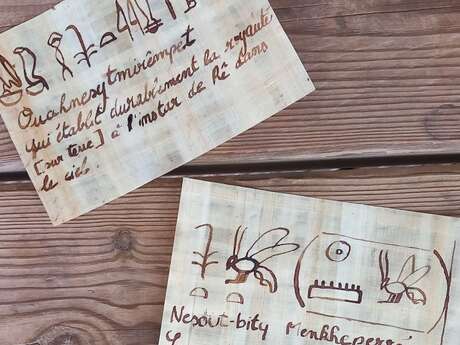 Stage "Trésors du Proche-Orient"