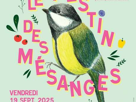 Le Festin des Mésanges Le Festin des Mésanges