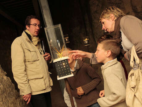 Nuit des Musées 2026 à la Caverne du Dragon