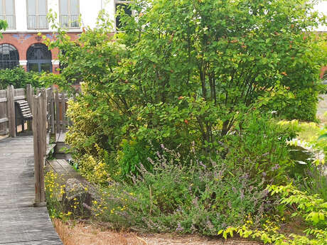 Visite guidée, l'EPSM de Bailleul : ses jardins, ses chemins, ses souterrains