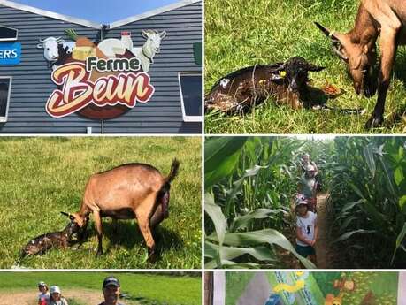 Activités d'été à la ferme des Récollets