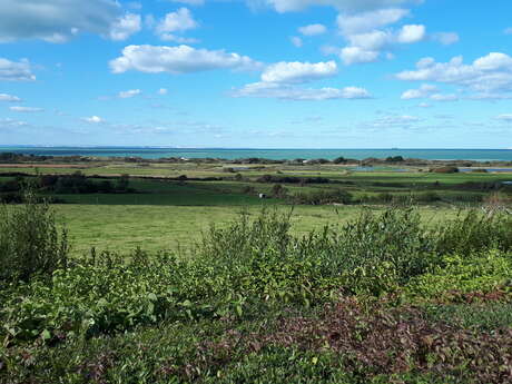 Les marais de Tardinghen