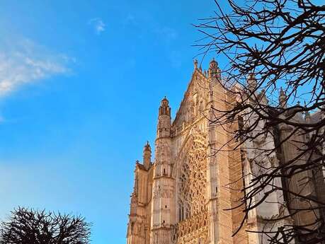 Visite guidée - Cathédrale Saint-Pierre