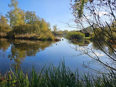 Marais de Génonville