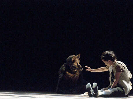 (Re)découvrez Le Petit Chaperon rouge !