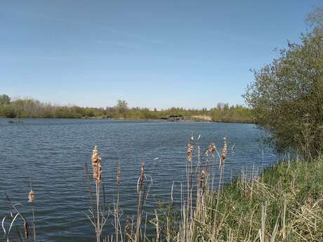 Sortie nature : Faune et flore d’été…