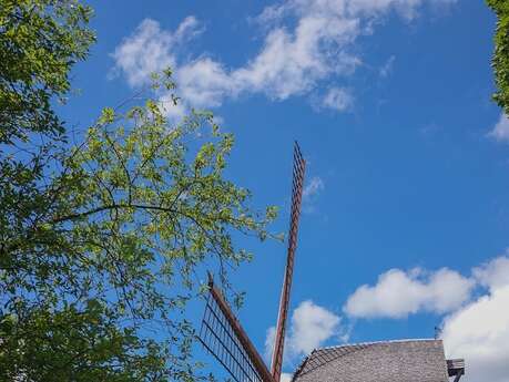 Découverte du Moulin de Cassel