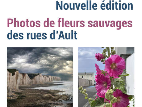 Expositions "Histoire de falaises" et "Fleurs sauvages des rues d'Ault"