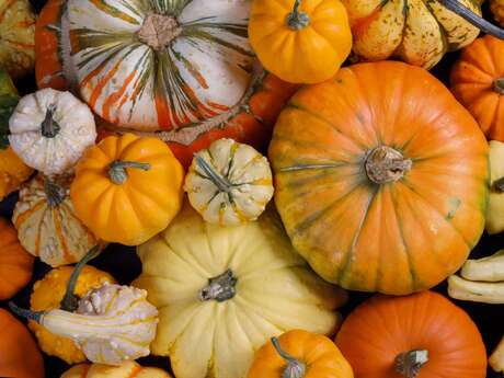 Fête de la citrouille