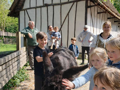 Journée mondiale du bien-être animal