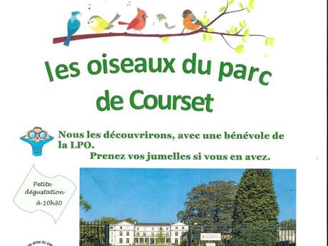 Les oiseaux du parc de courset