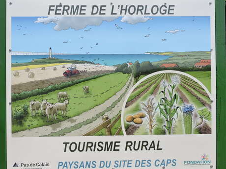 Ferme de l'Horloge : aire de camping