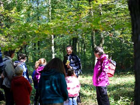 Immersion au coeur de la plus grande forêt samarienne Immersion au coeur de la plus grande forêt samarienne