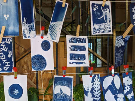 Atelier cyanotype