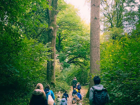 Les mercredis des tout-petits