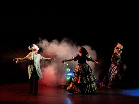 Roman performance "Madame Bovary"