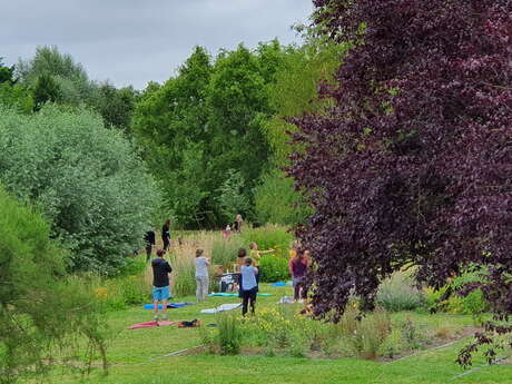 Parcours bien-être sous les arbres dans les Hortillonnages d'Amiens Parcours bien-être sous les arbres dans les Hortillonnages d'Amiens