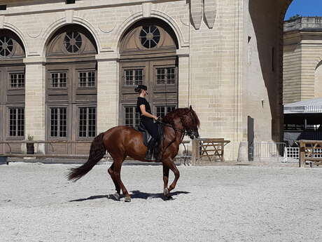 Musée Vivant du Cheval - Grandes Ecuries du Château de Chantilly