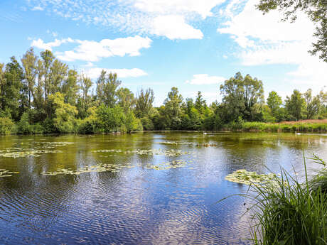 Grande Tourbière de Marchiennes