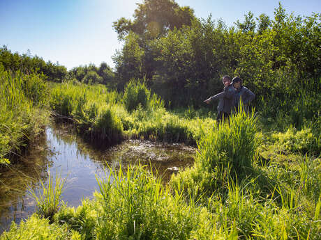 La Tourbière de Vred