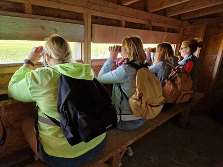 Visite guidée du platier d'oye
